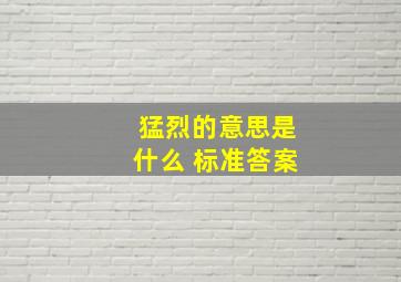 猛烈的意思是什么 标准答案